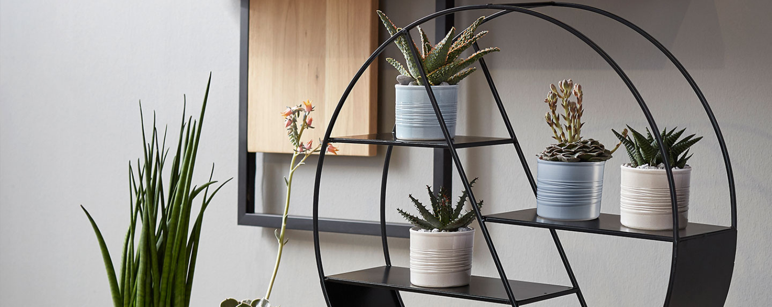 QX-Impex Ajándék Lakásdekor Virágkellék Nagykeresledés