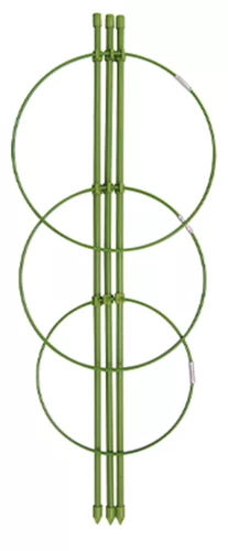 VIRÁGLUGAS, 3 GYŰRŰ, ZÖLD