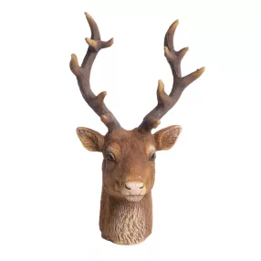 POLIREZIN SZARVASFEJ, AGANCCSAL, BARNA