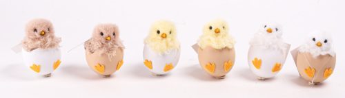 MŰANYAG TOJÁSBAN CSIRKE