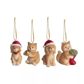 K.ÁLLATOK MIK.SAP/CSIZ4S6,8