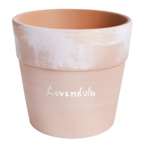 K.KAS.VERONA LEVENDULA15*14