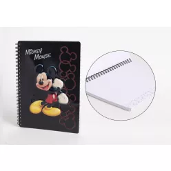LICENCE NOTESZ, MICKEY