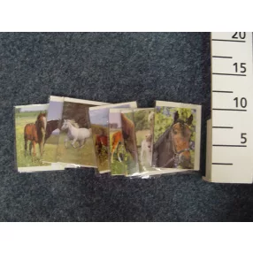 ÜDVÖZLŐ KÁRTYA/LÓ 9CM 8S/ST