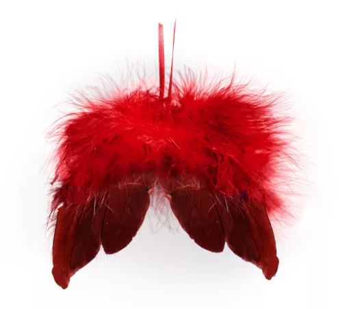 ANGYALSZÁRNY BORDÓ TOLL