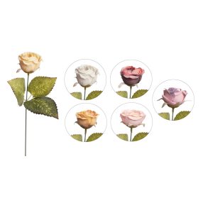 MŰVIRÁG SZÁLAS RÓZSA, 1VIRÁGFEJ, 3LEVÉL