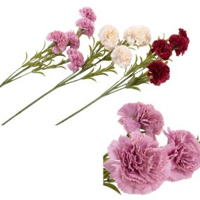 MŰVIRÁG, SZEGFŰ SZÁLAS, 5VIRÁGFEJ