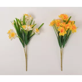 MŰVIRÁG, NÁRCISZ CSOKOR, 15 VIRÁG