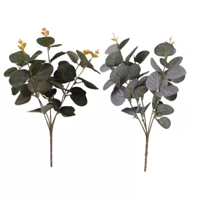 MŰVIRÁG, EUKALIPTUSZ CSOKOR, 5 ÁGGAL, 40 LEVÉLLEL