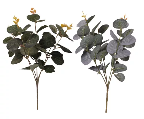 MŰVIRÁG, EUKALIPTUSZ CSOKOR, 5 ÁGGAL, 40 LEVÉLLEL