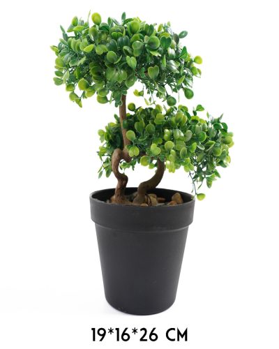 BONSAI FA, CSERÉPPEL, ZÖLD