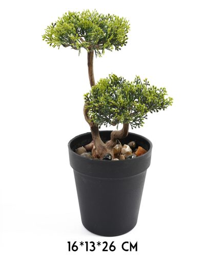 FA BONSAI+CSER.ZÖLD16*13*26