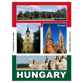 FÉM HÜTŐMÁGNES, DÉL-KELET MAGYARORSZÁG