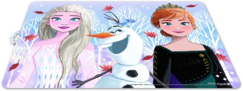 LICENCE MŰANYAG ALÁTÉT, JÉGVARÁZS