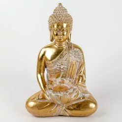 P.MT.BUDDHA ARANY 20,8*31,7