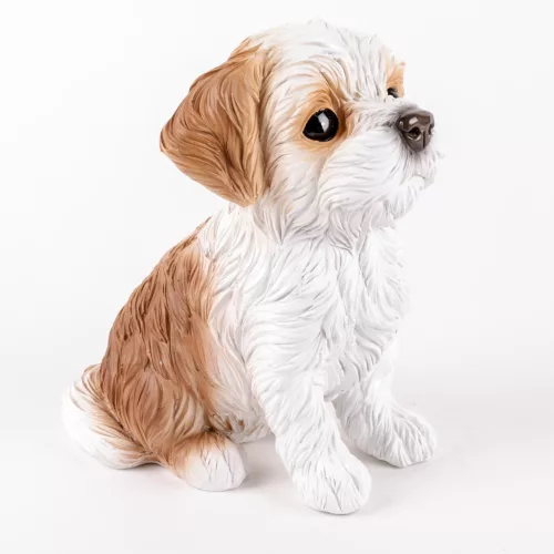 P.KUTYA SHIH TZU    12*17CM