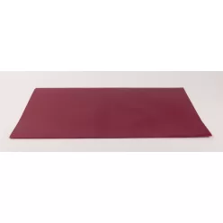 MCSO PASZT.VAS.BURG58CM*10M