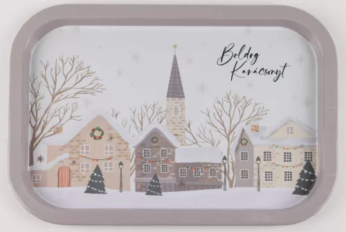 BÁD.TÁLCA TÉG.HAVASTÁJ34*23