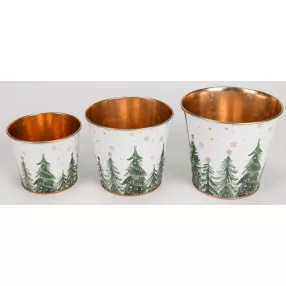 BÁD.KASPÓ*3 FENYŐK F11,5-15