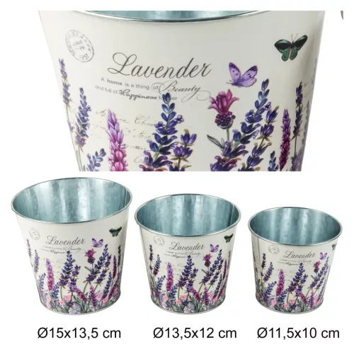 BÁD.KAS*3 LAVENDER  11,5-15
