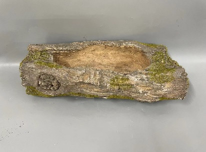 KÜLTÉRI KASPÓ, BONSAI, FATÖRZS MINTÁJÚ