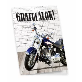 KÉPESLAP DNY.MOTOR GRA13*19