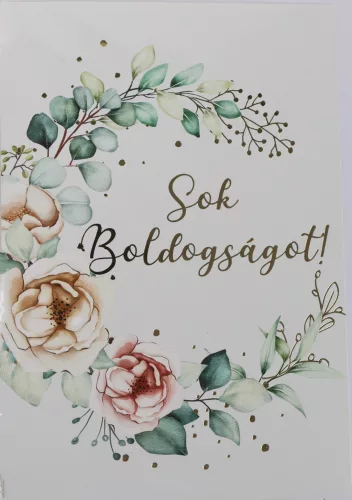 KÉPESLAP HS.RÓZSA SOK 13*19