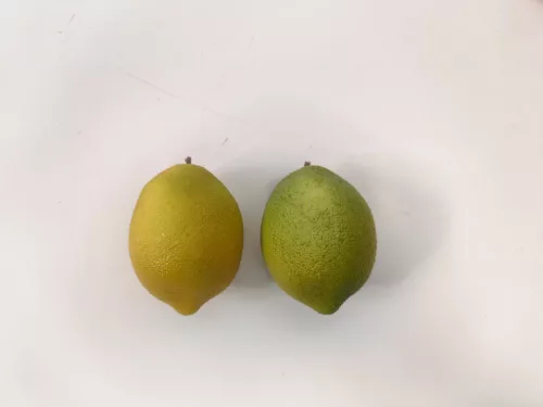 CITROM 2S             7,5CM