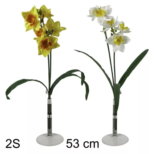 NÁRCISZ 6VIR/3LEV 2S   53CM