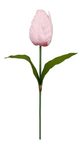 TULIPÁN ÓRIÁS PINK   20*135