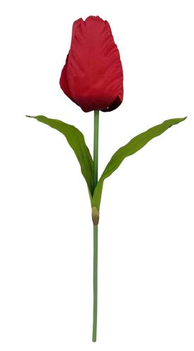 TULIPÁN ÓRIÁS PIROS  20*135