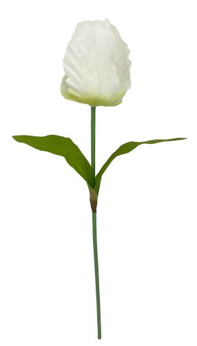 TULIPÁN ÓRIÁS FEHÉR  16*115