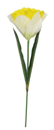 NÁRCISZ ÓRIÁS FEH/SÁR40*115