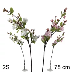 GYÜMÖLCSFA ÁG 2S       78CM