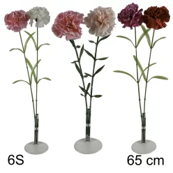 SZEGFŰ SZÁLAS 6S       65CM