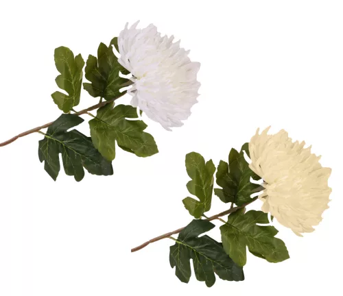 KRIZANTÉM SZÁLAS 2S(20)75CM