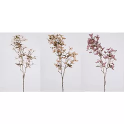 BOUGAINVILLEA 50V.7L.3S90CM