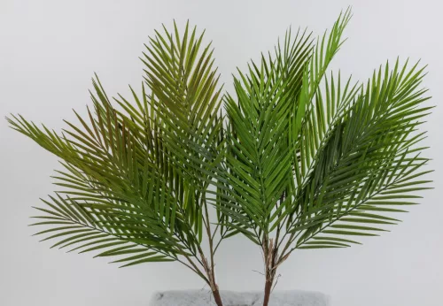 PÁLMA  13LEVÉL 2S      64CM