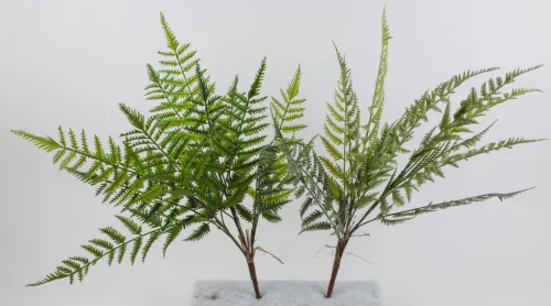 BORZAS PAJZSIKA 13L 2S 61CM