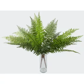 PÁFRÁNY 12L.2S         78CM