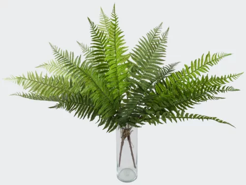 PÁFRÁNY 12L.2S         78CM