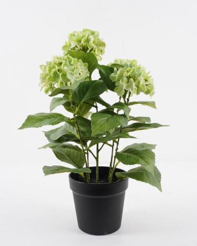 BOKOR HORTENZIA ZÖLD5V.50CM