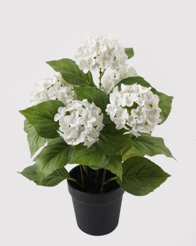 BOKOR HORTENZIA FEH.5V.50CM