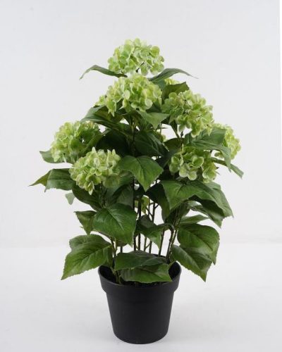 BOKOR HORTENZIA ZÖLD10V68CM