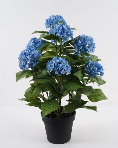 BOKOR HORTENZIA KÉK 10V68CM