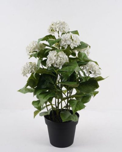 BOKOR HORTENZIA FEH.10V68CM