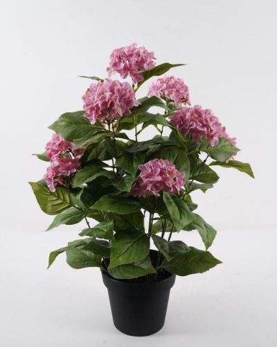 BOKOR HORTENZIA RSZ.10V68CM