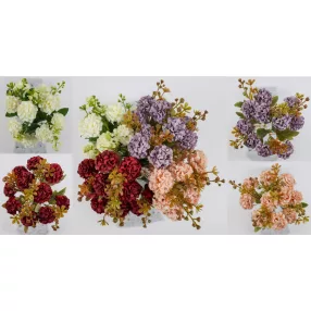 HORTENZIA CSOK.10V/12L4S 30