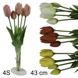 TULIPÁN CSOKOR 5VIR.4S 43CM