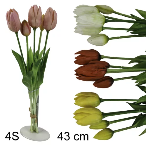 TULIPÁN CSOKOR 5VIR.4S 43CM